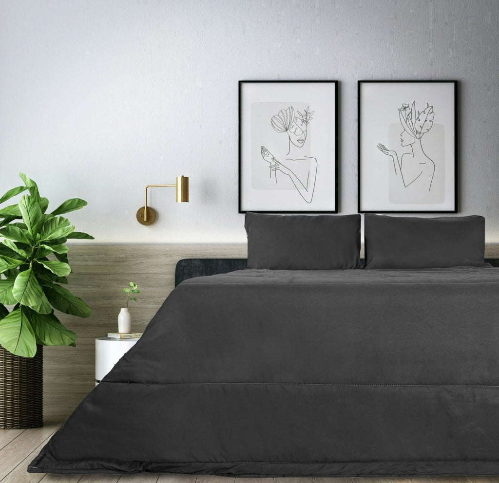 3PC Microfibre Plain Comforter Set - Double - StylePhase SA