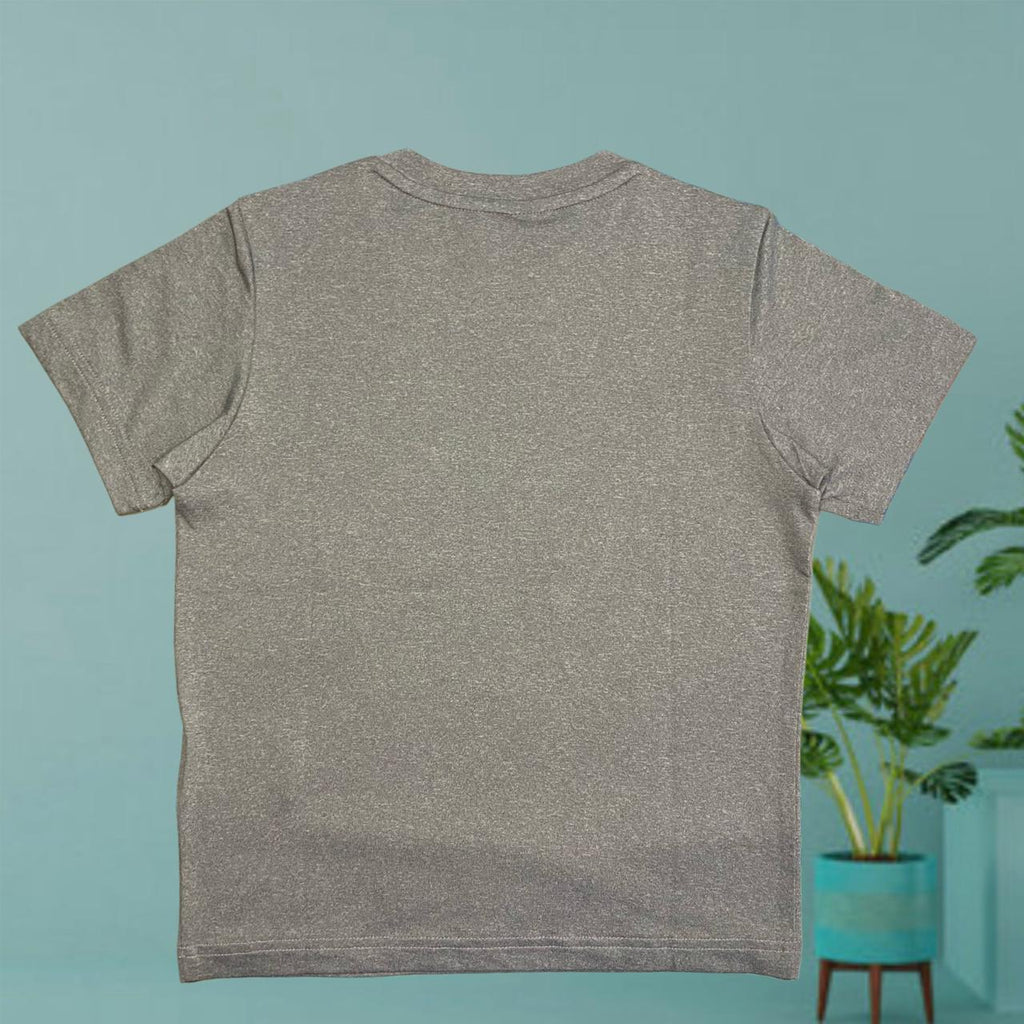 Boys Grey Printed T Shirt - StylePhase SA