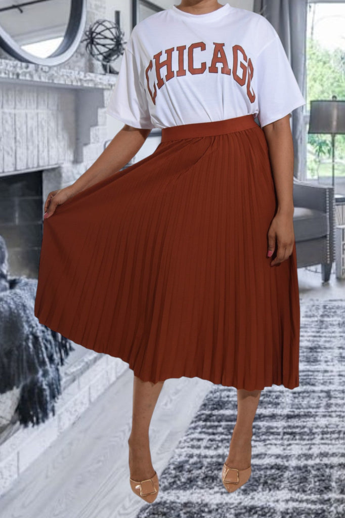 Chicago Brown Pleated Two Piece Set - StylePhase SA