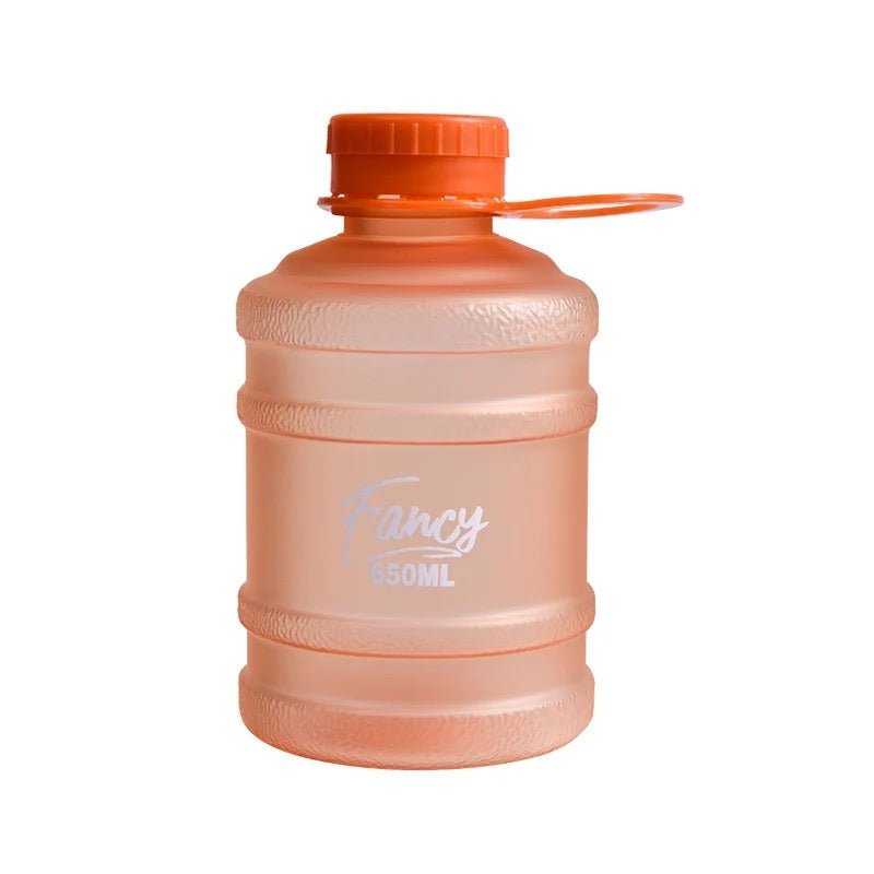 Fancy Water Bottle - 650 ml - StylePhase SA