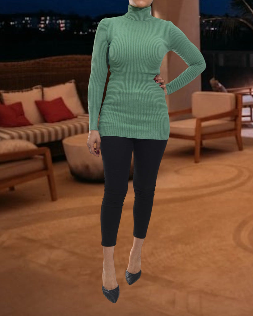 Ladies Green Polo Neck Dress Top - StylePhase SA