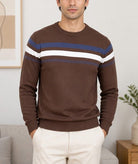 Men's Brown And Blue Round Neck Sweater - StylePhase SA